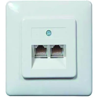 PROTEC.NET Anschlussdose PUAE UP 1PROT | 2x RJ45 8/8(8) | Unterputz | Zentralplatte | Netzwerkdose | reinweiß
