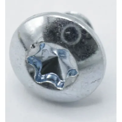 408404100 SCHRAUBE M4X6,7