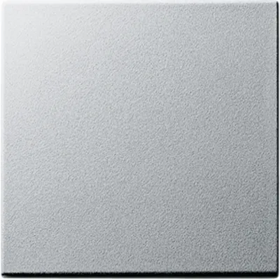 Gira Wippe für Wechselschalter 029626 | System 55 | Kunststoff | ohne Aufdruck | Klemmbefestigung | Aluminium