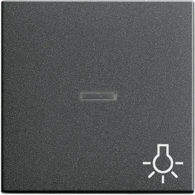 55/an Kontr.Wippe "Licht" SYSTEM 55/anthrazit
