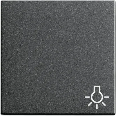 Gira Wippe 028528 | Lichtsymbol für Schalter/Taster System 55 | anthrazit | Kunststoff | IP20 | einteilig