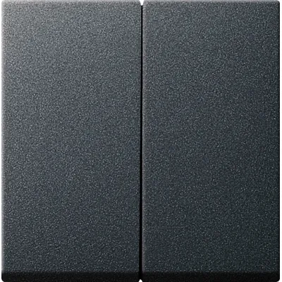 GIRA Serienwippe 029528 System 55 | 2-fach Wippe für Schalter & Taster | anthrazit | Kunststoff | IP20 | halogenfrei