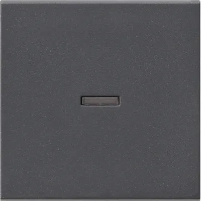 Gira Wippe Kontrollfenster 029028 | Wippschalter System 55 | Schalter/Taster | IP20 | anthrazit | Kunststoff