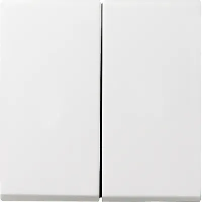 GIRA Serienwippe 2-fach 026627 | System 55 | IP44 Dichtungsset | Schalter/Taster | Kunststoff matt | reinweiß RAL 9010