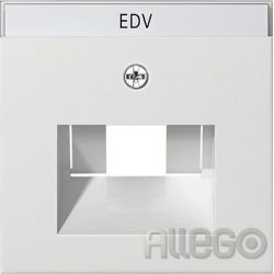 55/rwg UAE-Zentralpl.+BF 50x50mm,für UAE/IAE(ISDN)