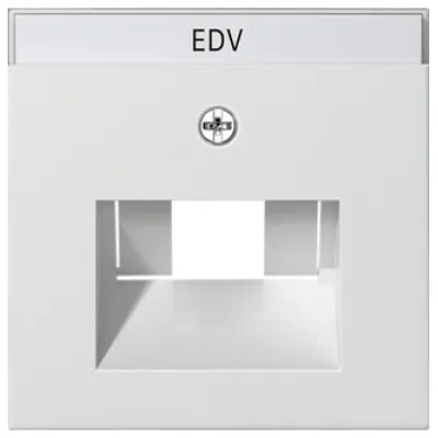 GIRA Zentralplatte UAE/IAE | System 55 | Netzwerkdose Abdeckung mit Beschriftungsfeld | Kunststoff | reinweiß glänzend