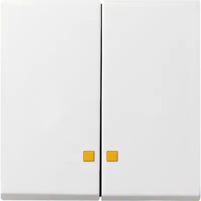 GIRA Serienwippe 063103 | System 55 | Kontrollfenster | 2-fach Schalter | Kunststoff | glänzend | reinweiß RAL 9010