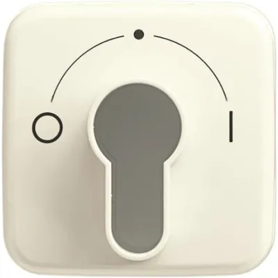 Busch-Jaeger Zentralscheibe Schlüssel-Schalter 2557 SLPZ-212-101 | Busch-Duro 2000 SI | Kunststoff | IP20 | cremeweiß