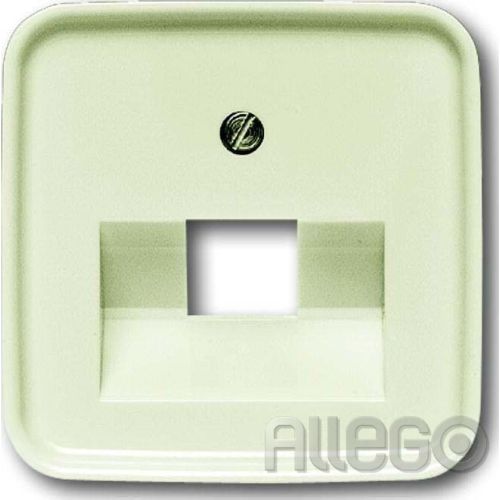 Bild: Abdeckung f.UAE 1f Busch-Duro 2000 SI, ws