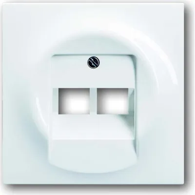 Busch-Jaeger Zentralscheibe für UAE/IAE-Dose 1803-02-74 | 2-fach | Unterputz | Alpinweiß | Thermoplast | glänzend