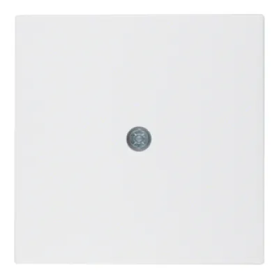 Berker Zentralplatte 10191909 für Kabelauslass & VDo-Dose S.1/B.3/B.7 | Unterputz | Kunststoff | matt | polarweiß