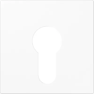 JUNG Abdeckung Schlüsselschalter | Zentralplatte AS500/A500 | Thermoplast | alpinweiß RAL 9010