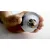 Bild: Mediashop Abfluss-Stöpsel Drain Magic | Universal Waschbeckenstöpsel mit Sieb | 2-in-1 Silikon/Edelstahl | Ø 2,8–5 cm