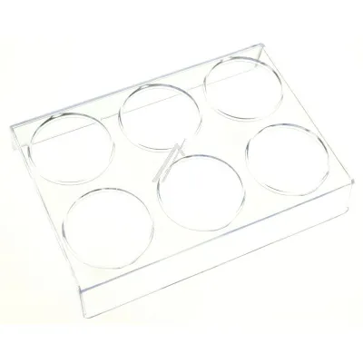 Ablagefach für Kühlschrank Beko C00883308 Glas, Kühlschrankregal