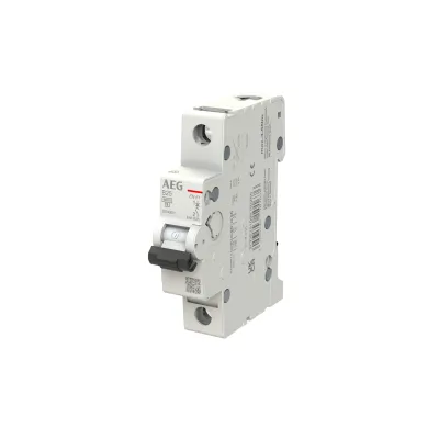 Busch-Jaeger Leitungsschutzschalter EN61B25 | 1-polig | 25A | Typ B | 6kA | Hutschiene | 400V