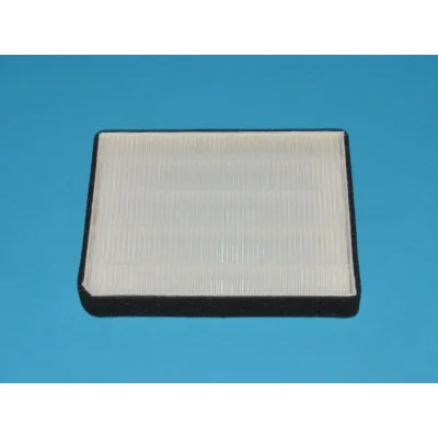 AIR NET FILTER Hisense HK2093173 Hisense