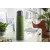 Bild: Alfi Isolierflasche Isotherm Eco 0,75l | Thermosflasche Edelstahl | 12h heiß | auslaufsicher | Pastel Forest Matt