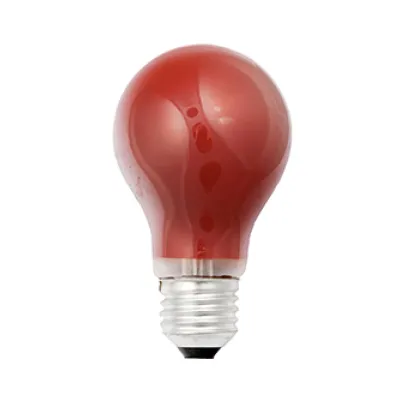 Allgebrauchslampe 15W mt E27 230V rt Birne