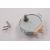 Bild: Antennenmotor 10000696