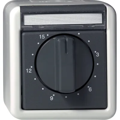 GIRA Zeitschalter 2-polig 032030 | 16A 250V | Aufputz | IP44 wassergeschützt | 0-15 min | Beschriftungsfeld | grau