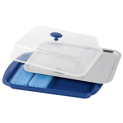 APS Kühlplatte mit Haube 43x29cm, Thermo Tablett Set, Kühl-Tablett