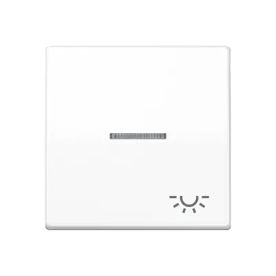 JUNG Wippe AS591KO5LWW | Kontrollwippe mit Symbol Licht | Lichtleiter | Duroplast glänzend | IP44 | alpinweiß