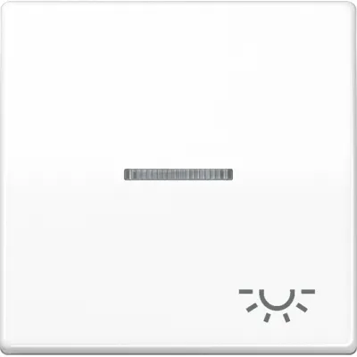 JUNG Wippe AS591KO5LWW | Kontrollwippe mit Symbol Licht | Lichtleiter | Duroplast glänzend | IP44 | alpinweiß