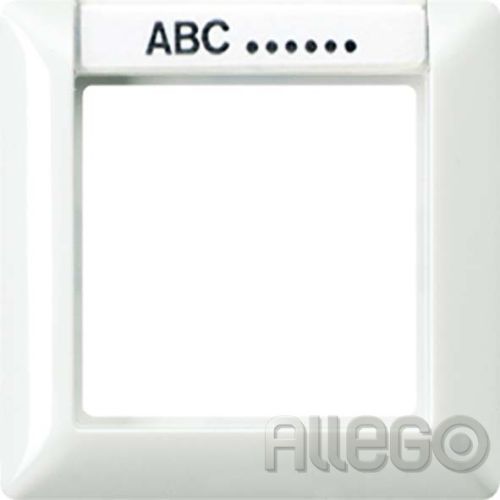 Bild: AS5/al Rahmen 1-fach + BF 13x55,5mm,AS500/alpinweiß