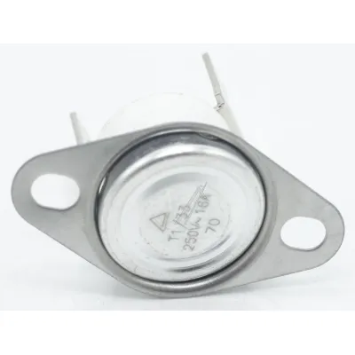 Atlan Ofen Thermostat 2402500023 70°C, Normal-offen