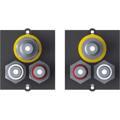 Bachmann Rahmen 1x Video + Cinch Stereo BVM-1 | 917.026 | Zentralplatte | Modul austauschbar | ohne Kabel | schwarz