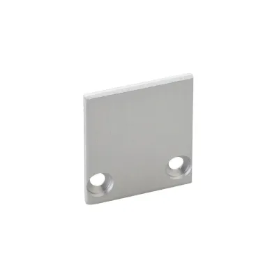 Barthelme Endkappen 62398311 | Endstück Profil Abschluss | 2er Set | Aluminium eloxiert | 19x22mm | inkl. Schrauben