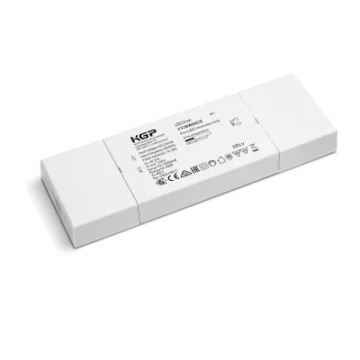 Barthelme Netzteil LED-Betriebsgerät 66000325 | 24V DC 36W | Konstantspannung | 0-1,5A | IP20 | Kunststoff