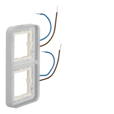 Berker Rahmen 2-fach 13393512 | Abdeckrahmen vertikal beleuchtbar 230V | W.1 Serie | IP55 | Kunststoff grau | RAL 7035