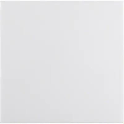 Berker Wippe S.1 16298989 | Schalter-Taster | IP44 | einteilig | Duroplast | Klemmbefestigung | glänzend | polarweiß