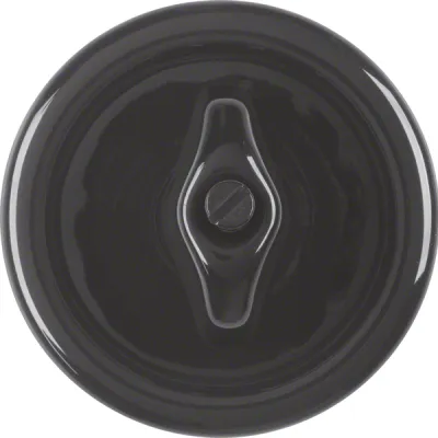 Berker Zentralstück mit Knebel 16476500 | Serie 1930 Porzellan by Rosenthal | Schalter/Taster | schwarz glänzend