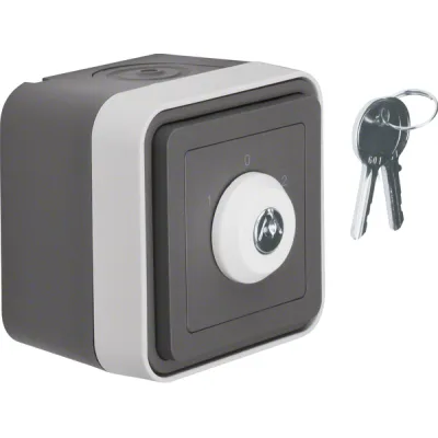 Berker 32723515 SCHLÜ-SCH 3 POSITIONEN WP GRAU