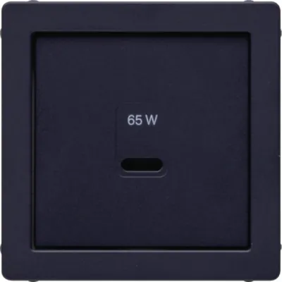 BERKER Zentralplatte 48606086 | USB Typ C Abdeckung | Q.x Serie | Klemmbefestigung | Thermoplast matt anthrazit