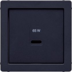 BERKER 48606086 Zentralstück für USB Q.x anthrazit samt