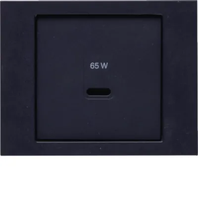 Berker Zentralplatte USB Typ C 48607006 | anthrazit matt | Kunststoff Thermoplast | Klemmbefestigung | RAL 7021