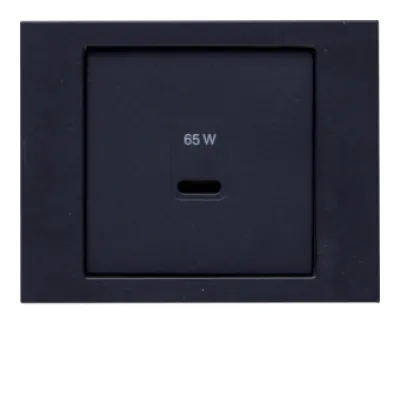 Berker Zentralplatte USB Typ C 48607006 | anthrazit matt | Kunststoff Thermoplast | Klemmbefestigung | RAL 7021