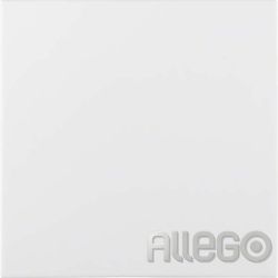 BERKER 75940259 Zentralplatte Blindabd S.1 polws glz