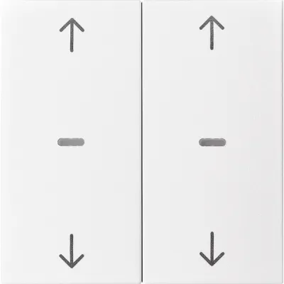 BERKER 80961399 Abdeckung Tastsensor 2f Pfeil S.1/B.x pw