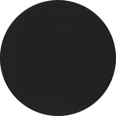 Berker Taste 1fach R.1/R.3 85141131 | Schalter/Dimmwippe | Kunststoff glänzend | schwarz RAL 9005 | halogenfrei