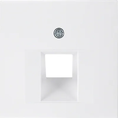 Berker Zentralplatte 14078989 | UAE/IAE 1-fach schräg 45° | UP | Kunststoff | polarweiß glänzend