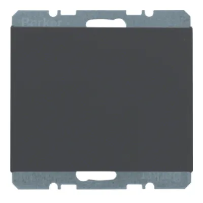 Berker Blindverschluss 10457006 K.1 | Unterputz Abdeckung | anthrazit matt | Kunststoff | Steckbefestigung
