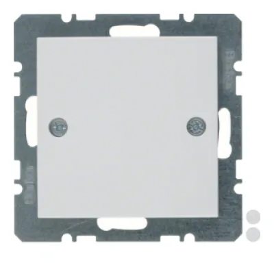Berker Blindabdeckung 10098919 | Unterputz | Schraubbefestigung | Duroplast | IP20 | polarweiß glänzend