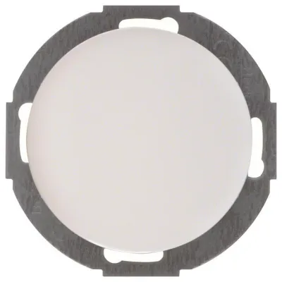 Berker Blindverschluss R.Classic 10092079 | Unterputz | Zentralstück | Kunststoff | polarweiß glänzend