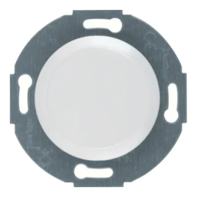 Berker Blindabdeckung 100920 | Serie 1930/Glas | Kunststoff Duroplast | polarweiß glänzend | IP20