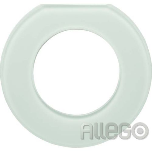 Bild: Berker Glas-Endrahmen 1-fach Glas polarweiß 109219