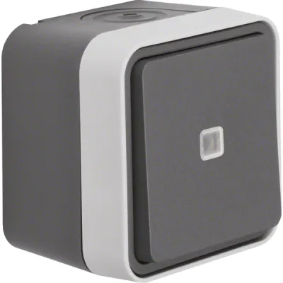 Berker Kontroll-Wechselschalter W.1 31763505 | Aufputz IP55 | LED beleuchtet | 1-fach | grau matt | Kunststoff